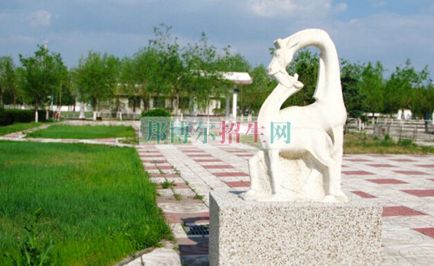大慶醫(yī)學高等?？茖W校