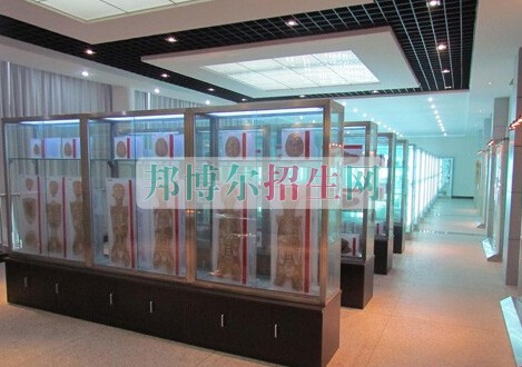 益陽醫(yī)學高等?？茖W校