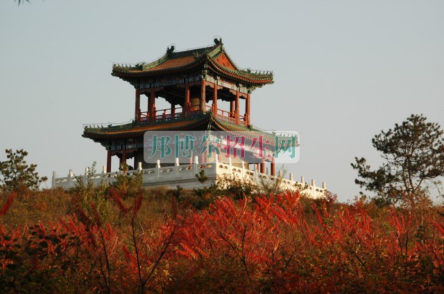 北京科技職業(yè)學(xué)院招生辦聯(lián)系電話(huà)