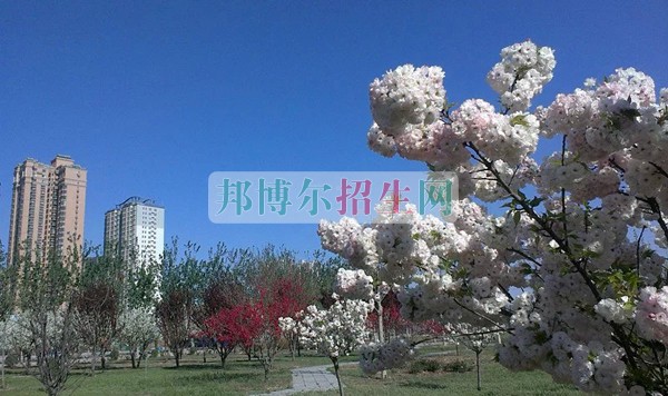 石家莊科技工程職業(yè)學(xué)院招生辦聯(lián)系電話(huà)