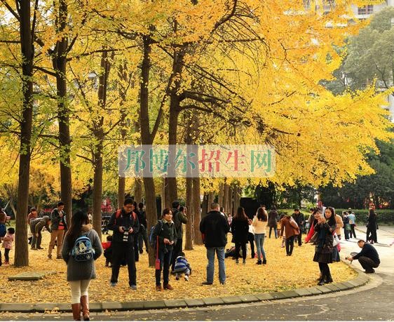 成都有什么好的移動通信技術(shù)學校