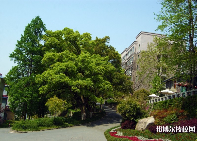 中國美術學院附屬中等美術學校2020年報名條件、招生要求、招生對象