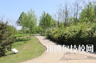 石家莊中英航空中等專業(yè)學(xué)校2020年報(bào)名條件、招生要求、招生對象