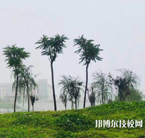 甘肅財貿(mào)職業(yè)學院2020年學費、收費多少