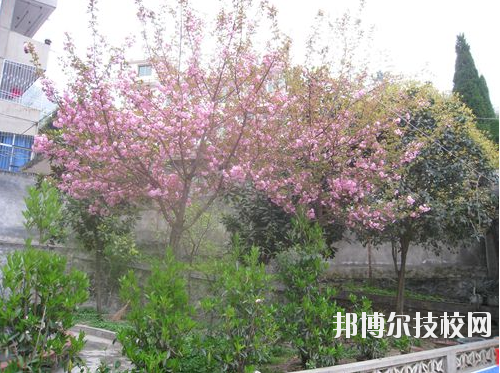 嵐皋縣中等職業(yè)技術(shù)學(xué)校2020年報(bào)名條件、招生要求、招生對(duì)象