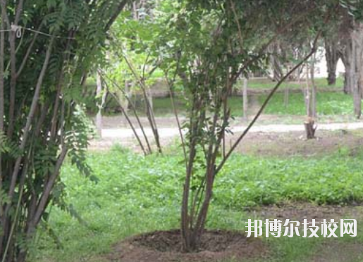 甘肅金城理工中等專(zhuān)業(yè)學(xué)校2020年招生辦聯(lián)系電話