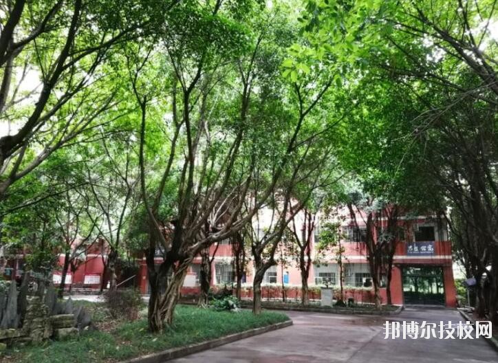 重慶舞蹈學校2020年報名條件、招生要求、招生對象
