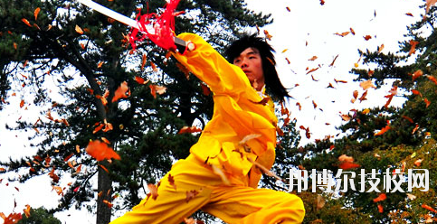 平?jīng)鲠轻嘉奈鋵W校2020年報名條件、招生要求、招生對象