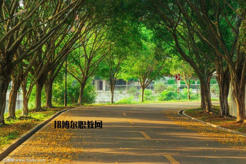 仙桃金園職業(yè)高級中學(xué)2020年報名條件、招生要求、招生對象