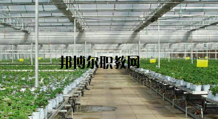 隴南農(nóng)業(yè)學校怎么樣、好不好