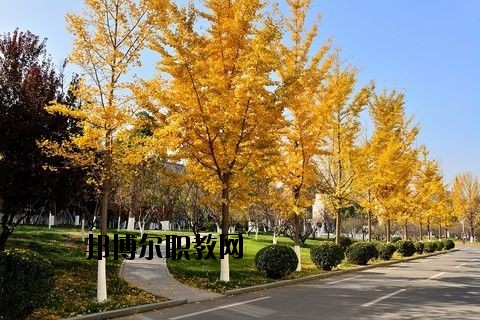 蘄春李時(shí)珍中等專業(yè)學(xué)校怎么樣、好不好
