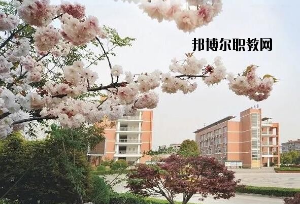 桐鄉(xiāng)衛(wèi)生學校2020年報名條件、招生要求、招生對象