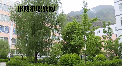 文縣職業(yè)技術(shù)學(xué)校2020年報(bào)名條件、招生要求、招生對(duì)象