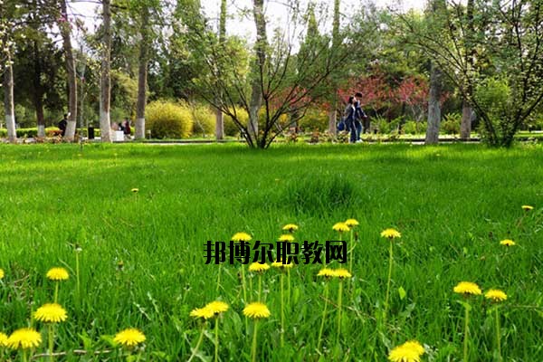 雙江縣職教中心2020年報名條件、招生要求、招生對象