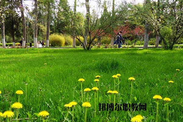 雙江縣職教中心怎么樣、好不好