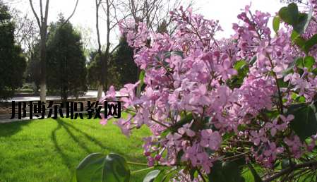 金川公司技工學(xué)校2020年報(bào)名條件、招生要求、招生對(duì)象