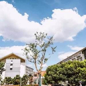 南京科技職業(yè)學(xué)院怎么樣、好不好