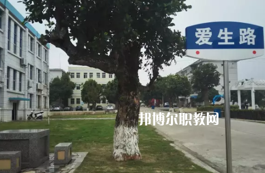 湛江南大理工職業(yè)技術學校網站網址