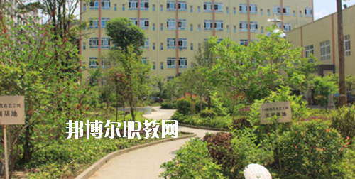道真中等職業(yè)學(xué)校2020年報(bào)名條件、招生要求、招生對象