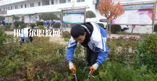 秦安縣古城農(nóng)業(yè)中學(xué)怎么樣、好不好