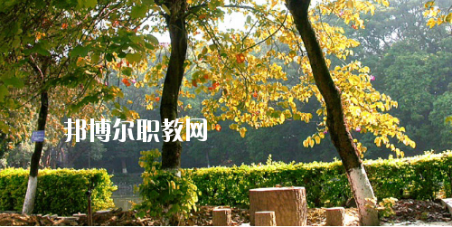 廣西民族中等專業(yè)學(xué)校怎么樣、好不好