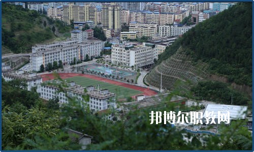 廣元朝天職業(yè)中學(xué)2020年報名條件、招生要求、招生對象