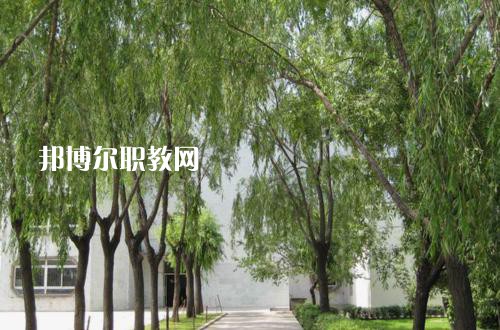 新疆喀什地區(qū)衛(wèi)生學校2021年報名條件、招生要求、招生對象