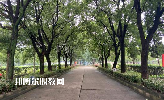 武漢江南技術(shù)學校網(wǎng)站網(wǎng)址