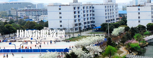 四川交通職業(yè)技術(shù)學院2022年報名條件、招生要求、招生對象