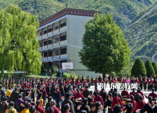 四川省藏文學(xué)校2022年報名條件、招生要求、招生對象