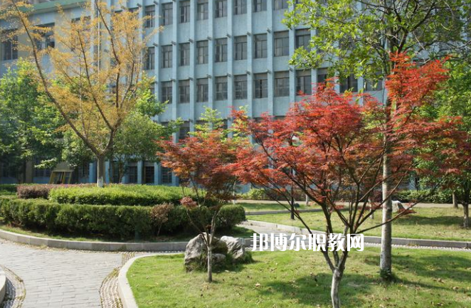 廉江市衛(wèi)生職業(yè)技術(shù)學校怎么樣、好不好