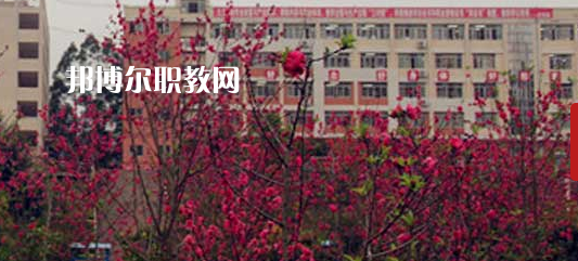 岑溪市中等專業(yè)學(xué)校2022年報名條件、招生要求、招生對象