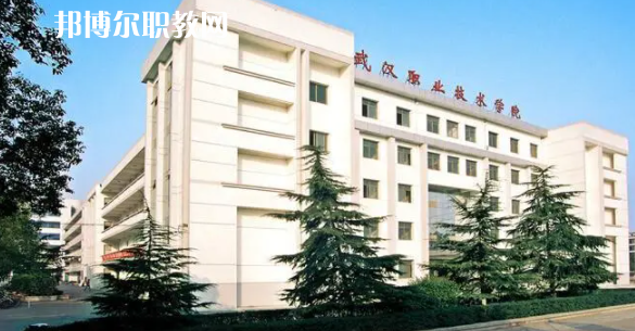 2023湖北十大?？茖W(xué)校名單及排行榜