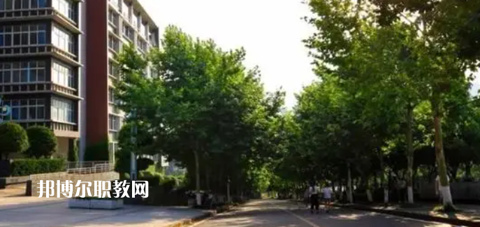重慶醫(yī)藥高等?？茖W(xué)校好不好_2023年有單招嗎