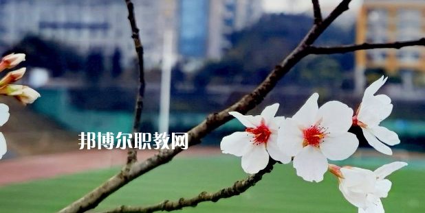 2023眉山技師學(xué)院招生計劃 招生人數(shù)是多少(附要求、條件、對象)