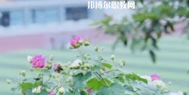 眉山技師學(xué)院地址在哪里，哪個(gè)地區(qū)，哪個(gè)城市?