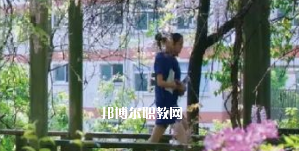 2023金華市成功學(xué)校招生計劃 招生人數(shù)是多少(附要求、條件、對象)