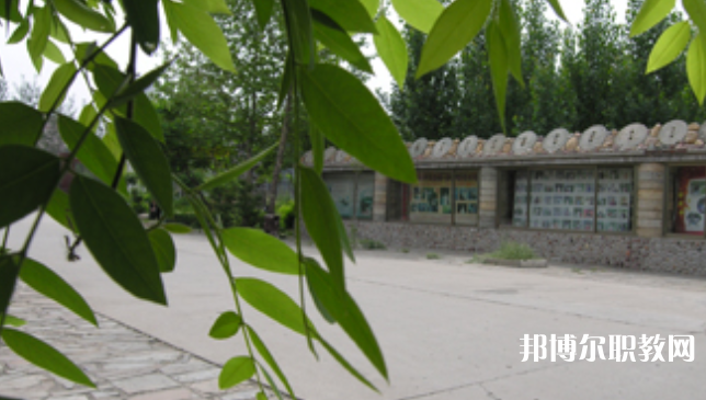 野風美術(shù)中學網(wǎng)站網(wǎng)址主頁