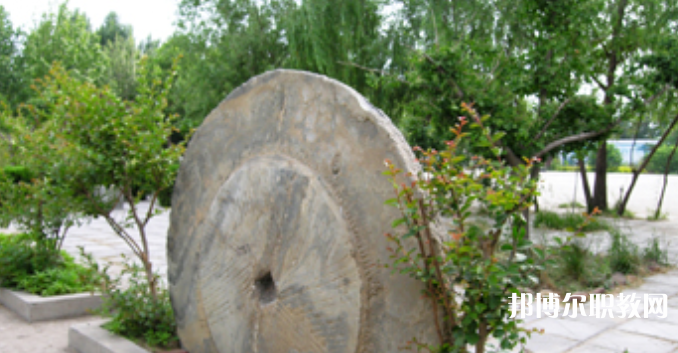 野風(fēng)美術(shù)中學(xué)怎么樣、好不好