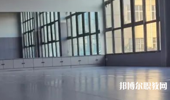 2023秦皇島市藝新舞蹈學(xué)校招生計劃 招生人數(shù)是多少(附要求、條件、對象)