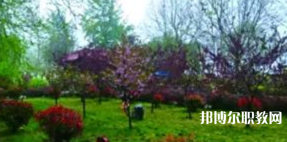 2023隆堯縣職業(yè)技術(shù)教育中心招生計(jì)劃 招生人數(shù)是多少(附要求、條件、對(duì)象)