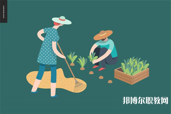 山東哪里的中職學校能讀工程造價專業(yè)