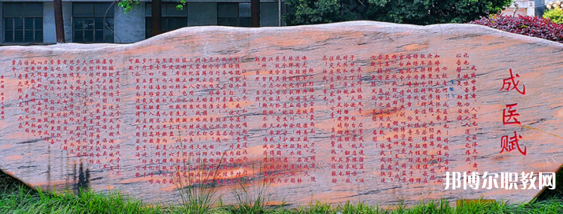 成都成醫(yī)一附院護(hù)士學(xué)校2024年學(xué)費(fèi)、收費(fèi)多少