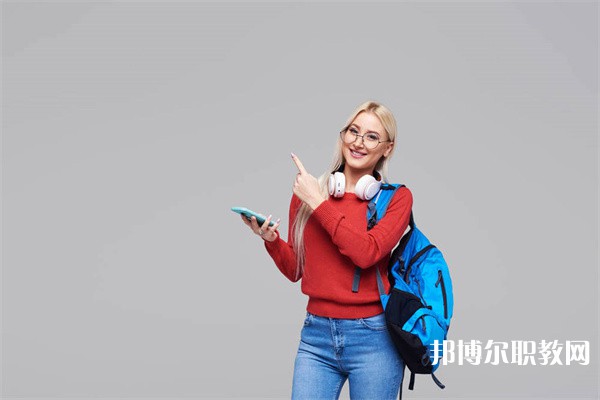 湖北哪里的中專學校能讀計算機動漫與游戲制作專業(yè)
