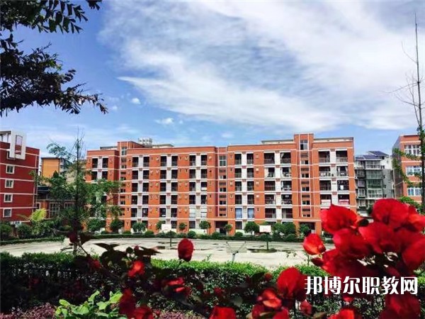 四川2024年上完中?？刹豢梢陨洗髮? width=