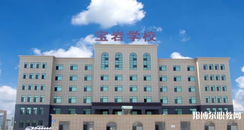 2025沈陽寶巖藝術學校招生計劃 招生人數(shù)是多少(附要求、條件、對象)